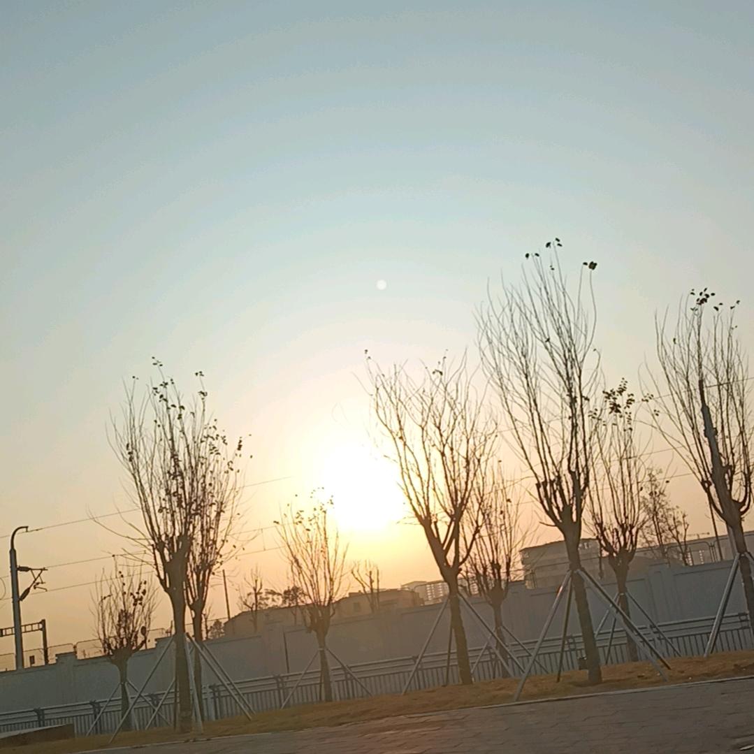 🥀心诺💋相依🥀