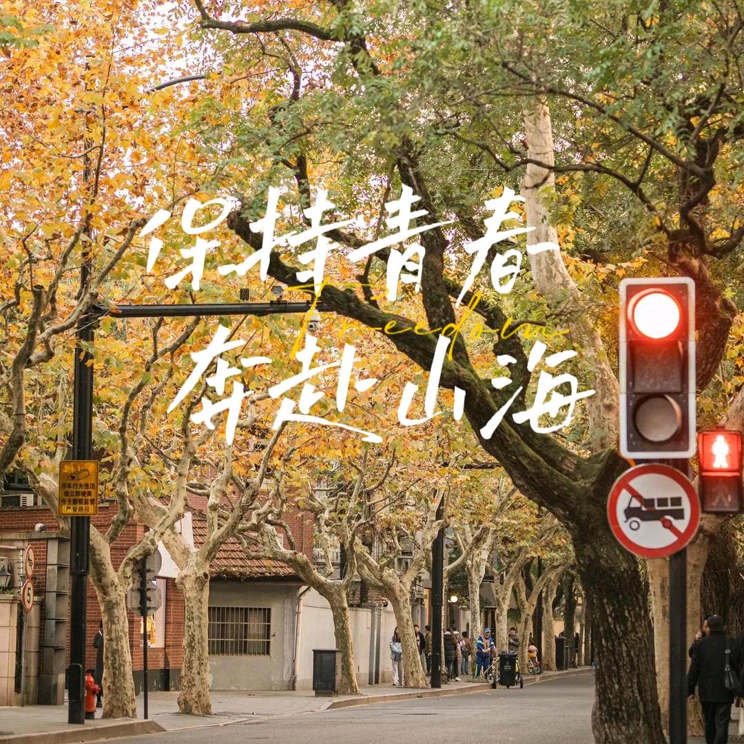 不吃鱼的喵