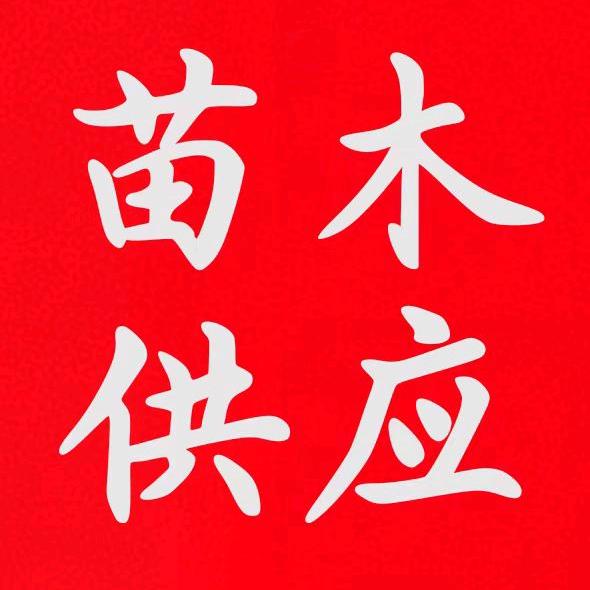专供果树绿化树