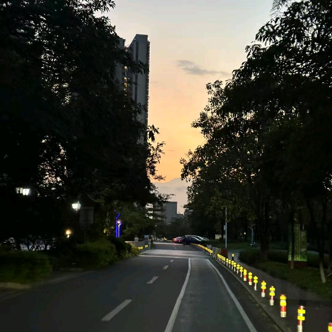 ‘哦’歪果树，
