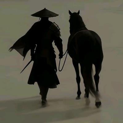 过客人生，独行者。