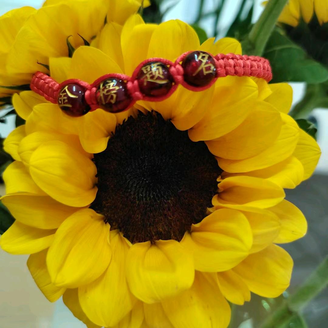 河南高考志愿填报陈老师