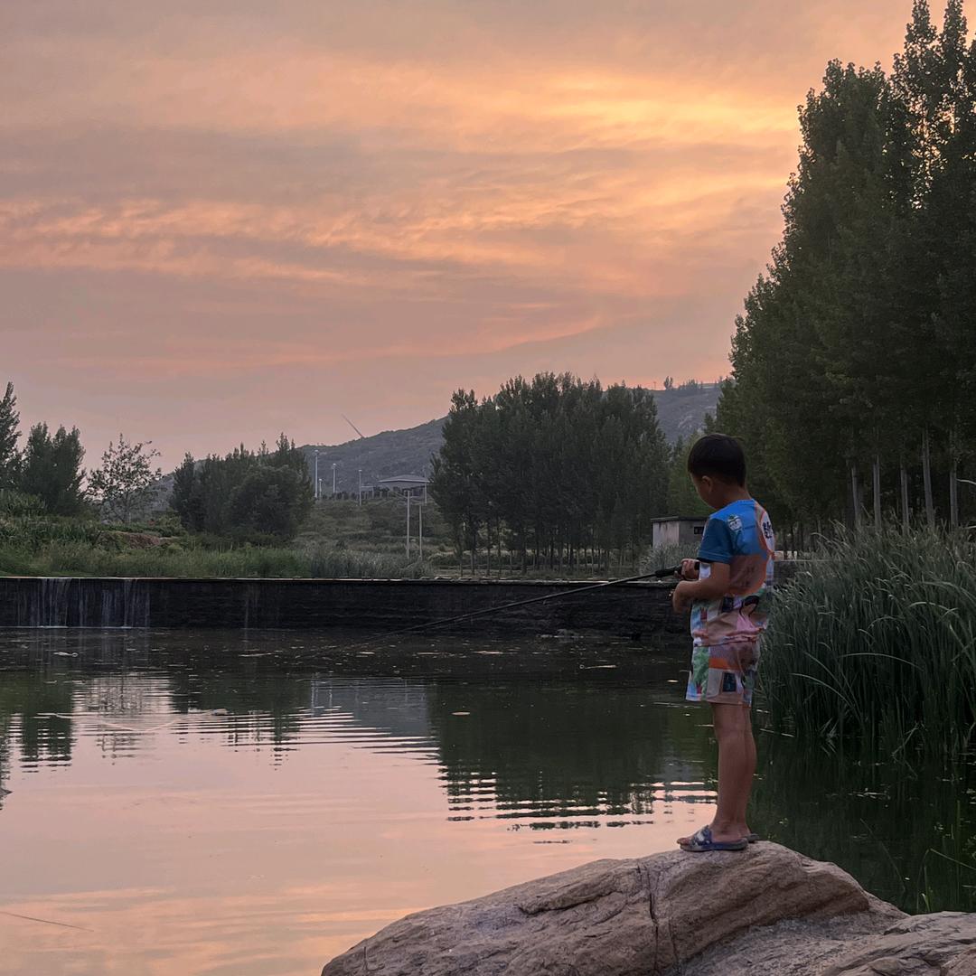 抖音精品联盟号