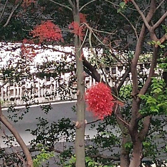 用户14人人930079476