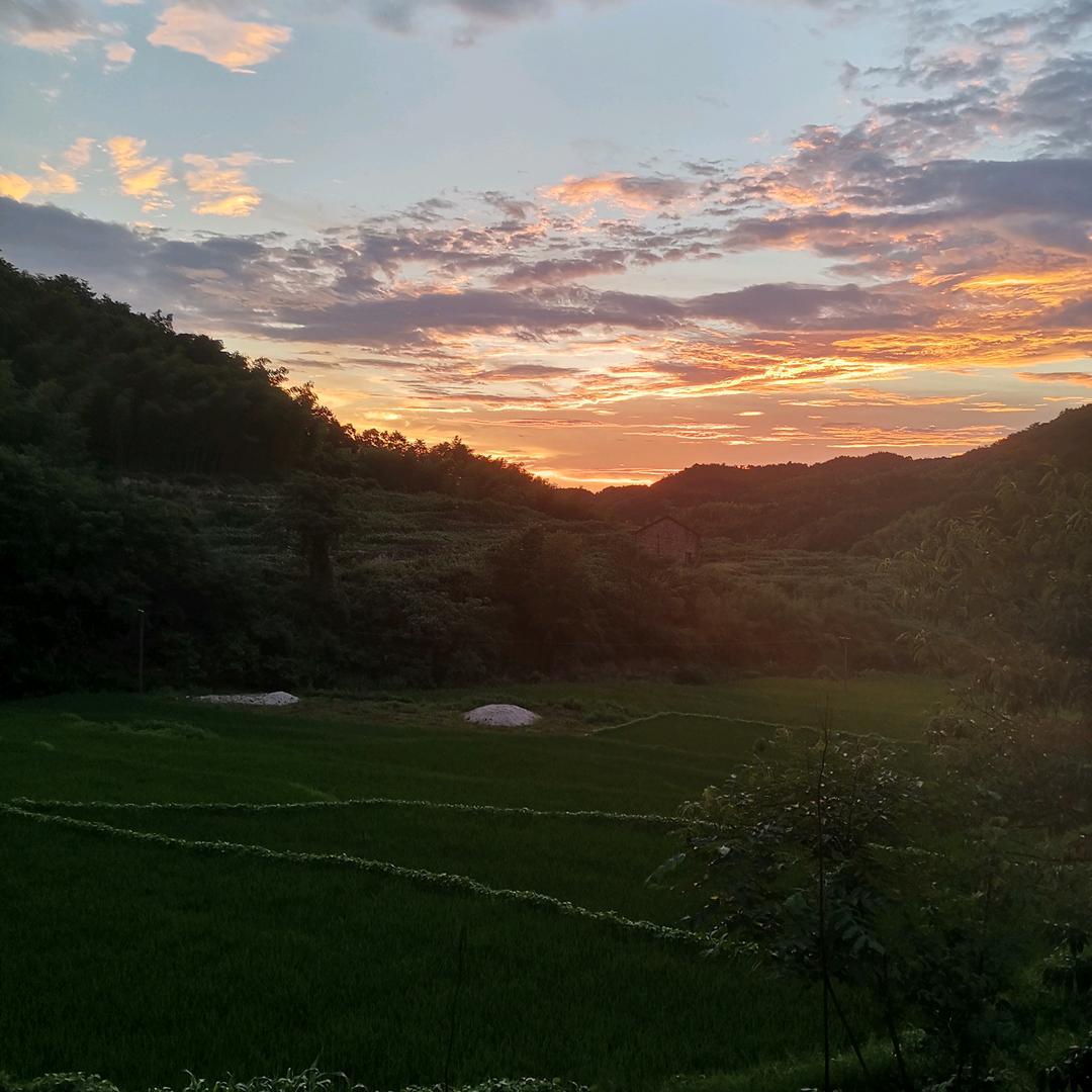 湛霖