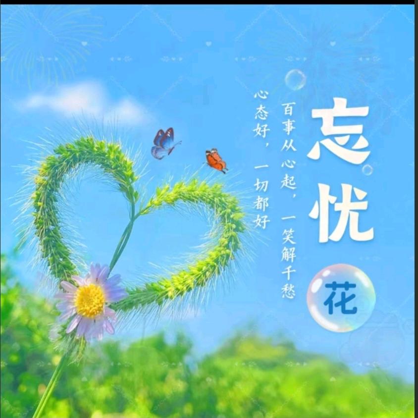 ℒᎭℯ⃝吖頭ᵥ̶ₑ̶ᩚ