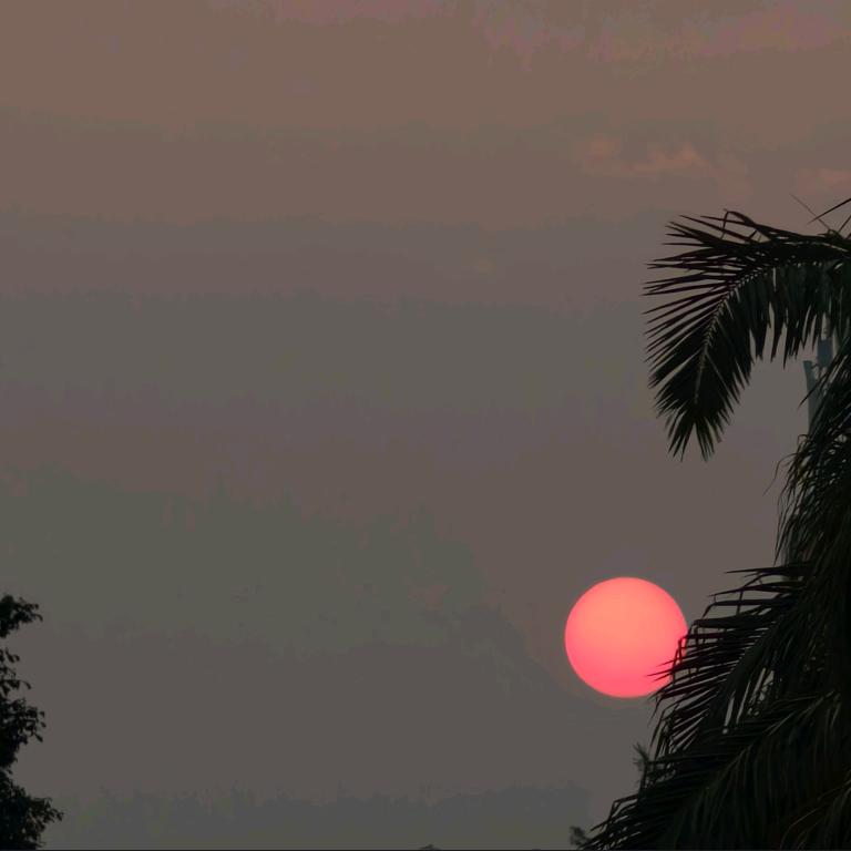 版纳人在德宏卖鸡脚