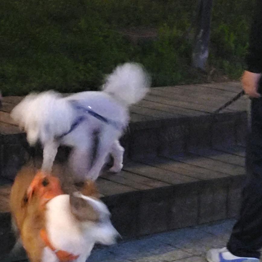 顾亦