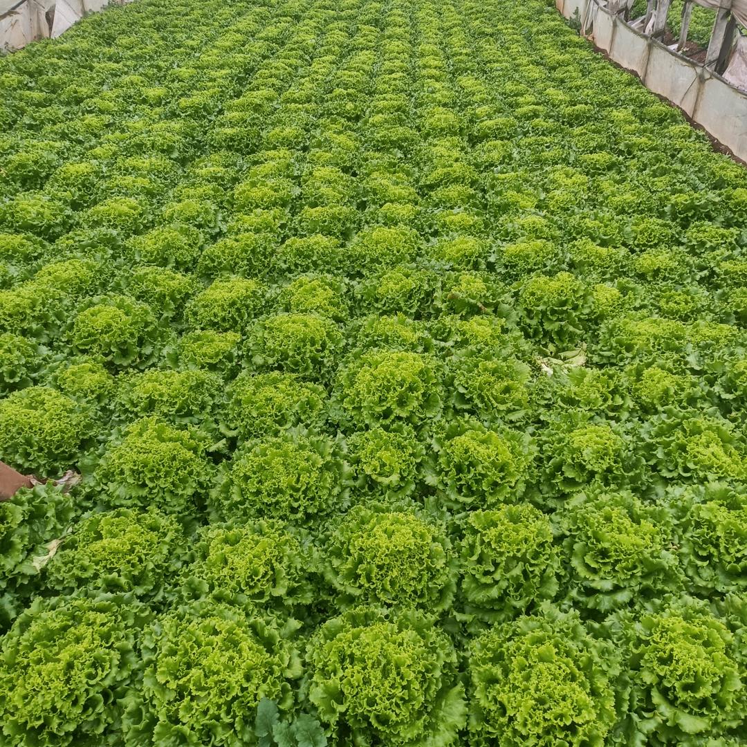 乱世情缘，有情有意认识你