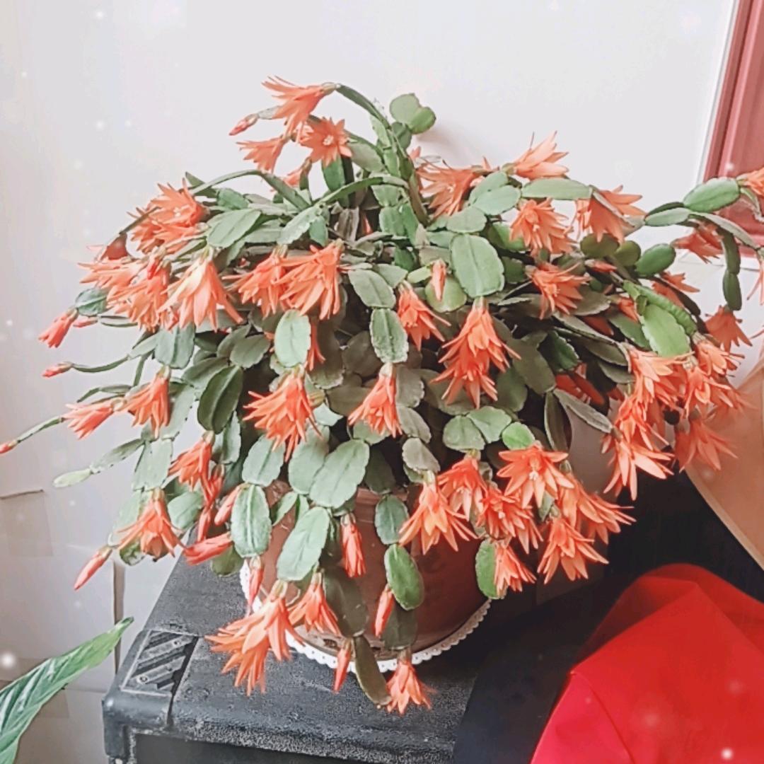 一晃就老了