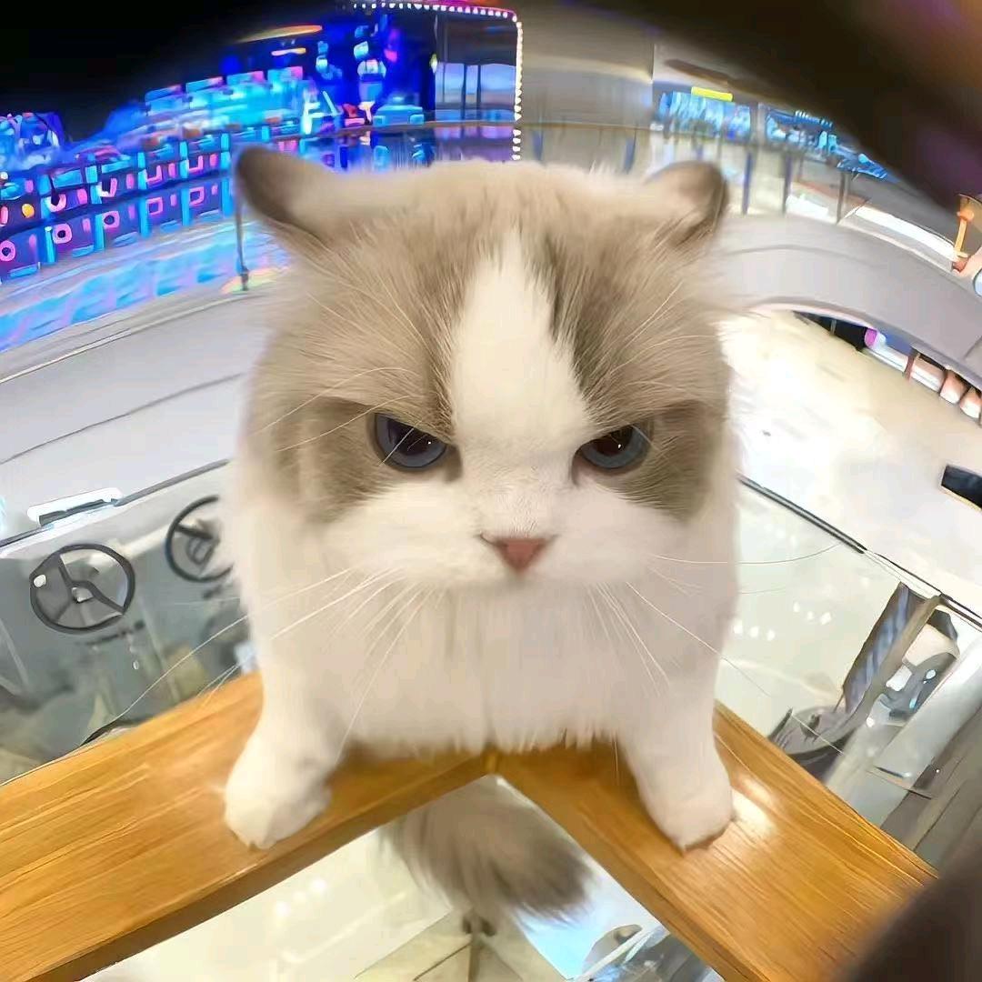 书言优选