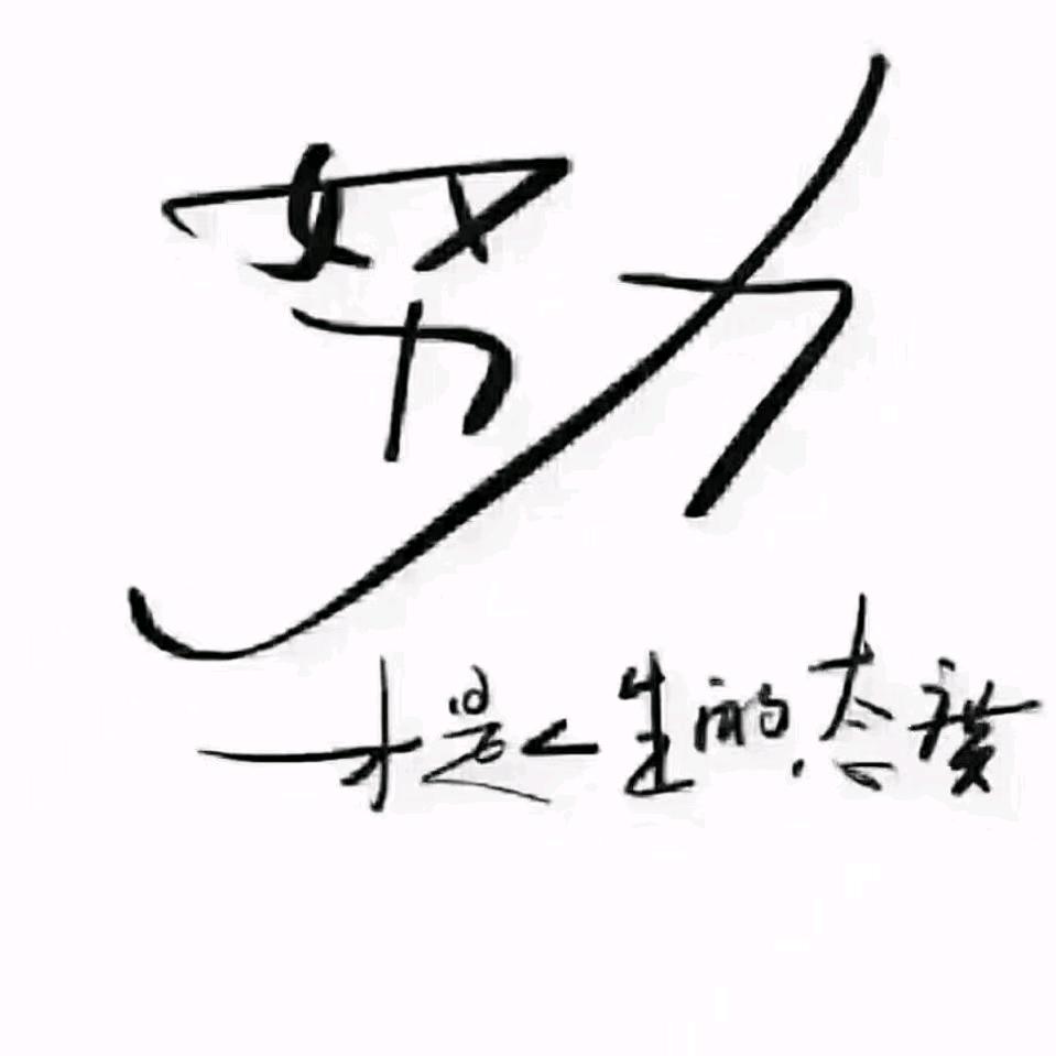高冷的海苔