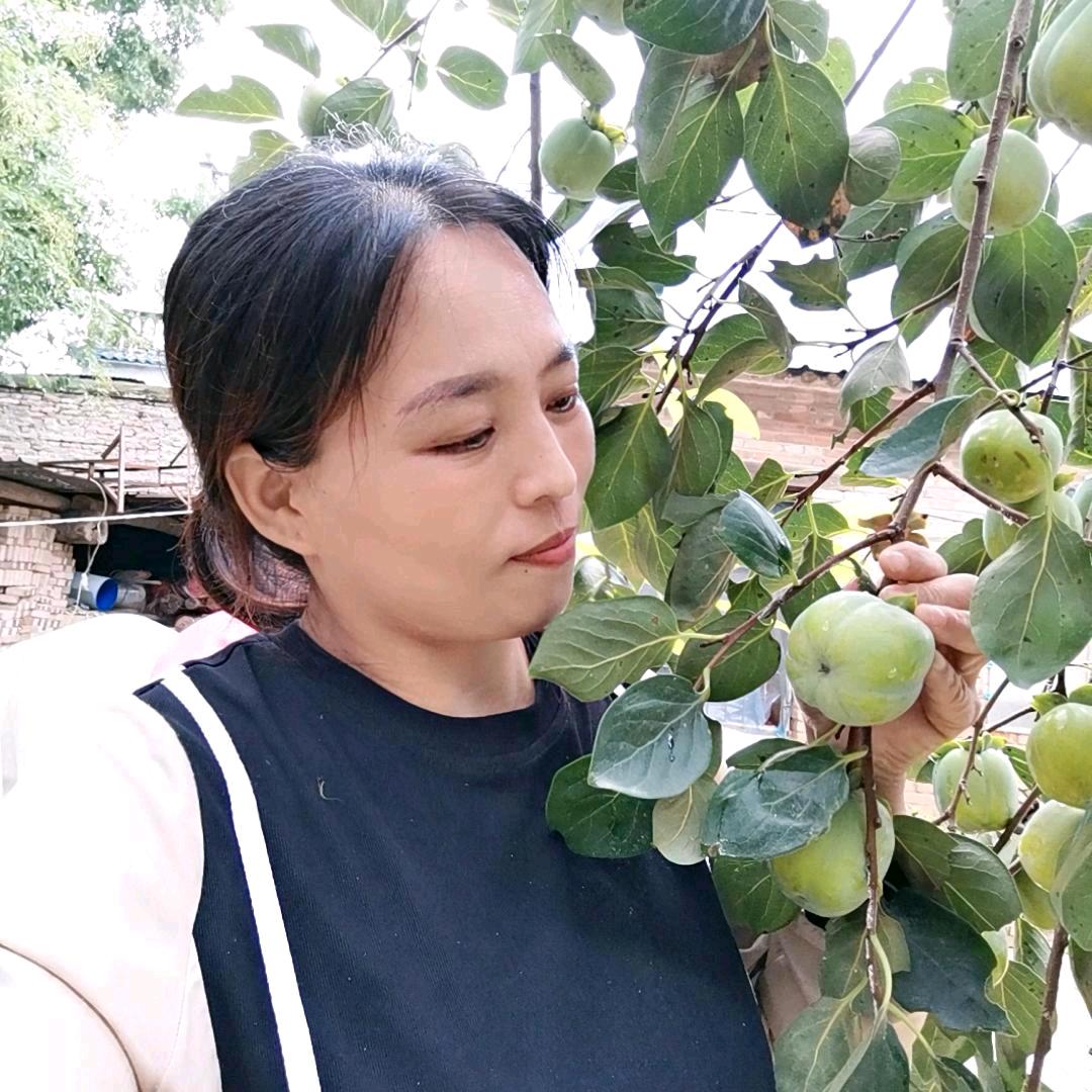 折翼天使