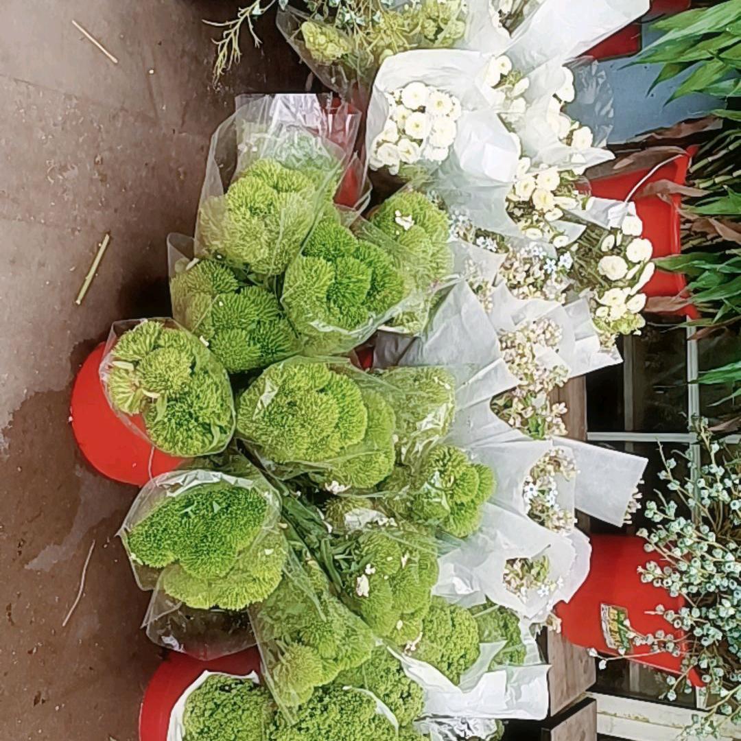 开开心心过一生