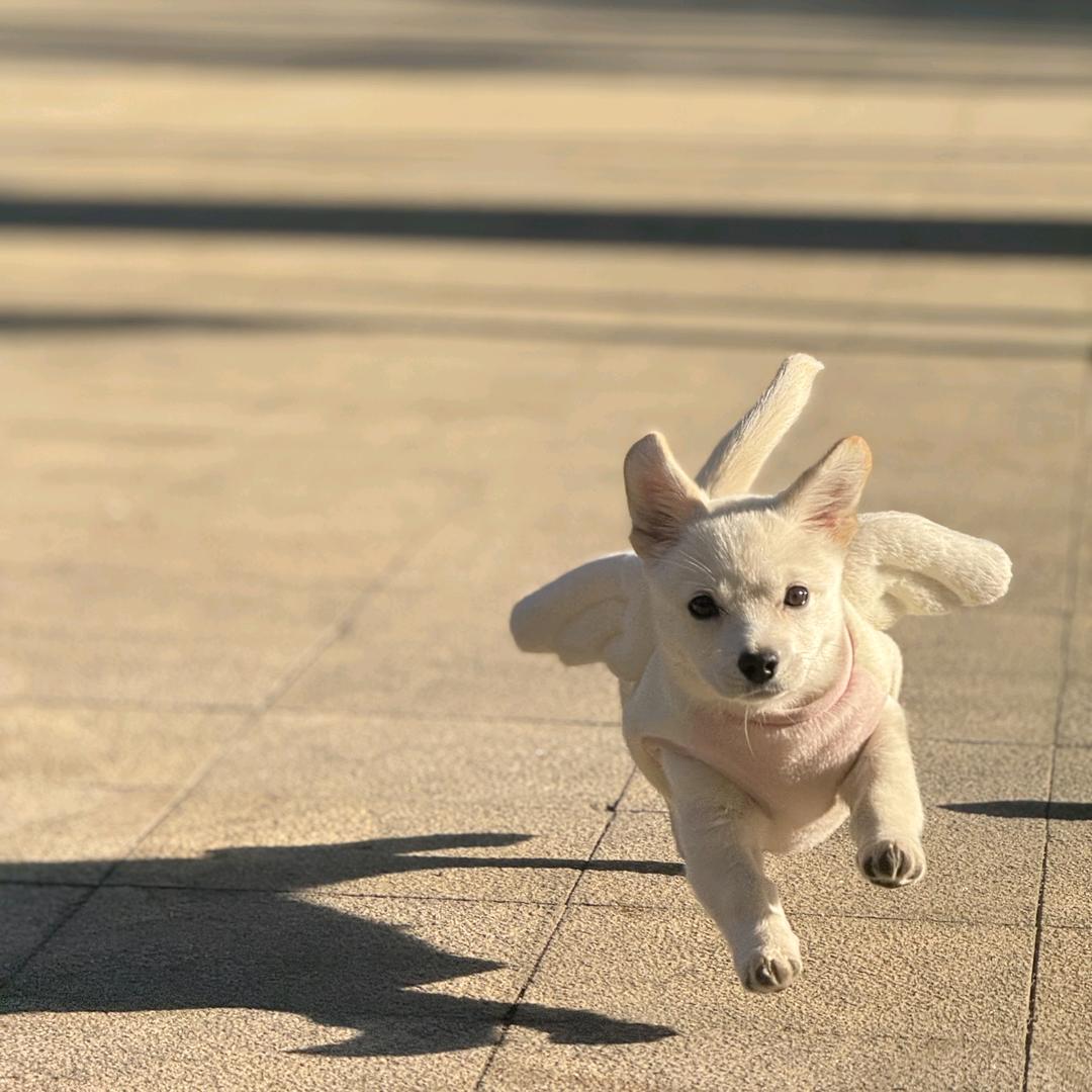 小嘿嘿