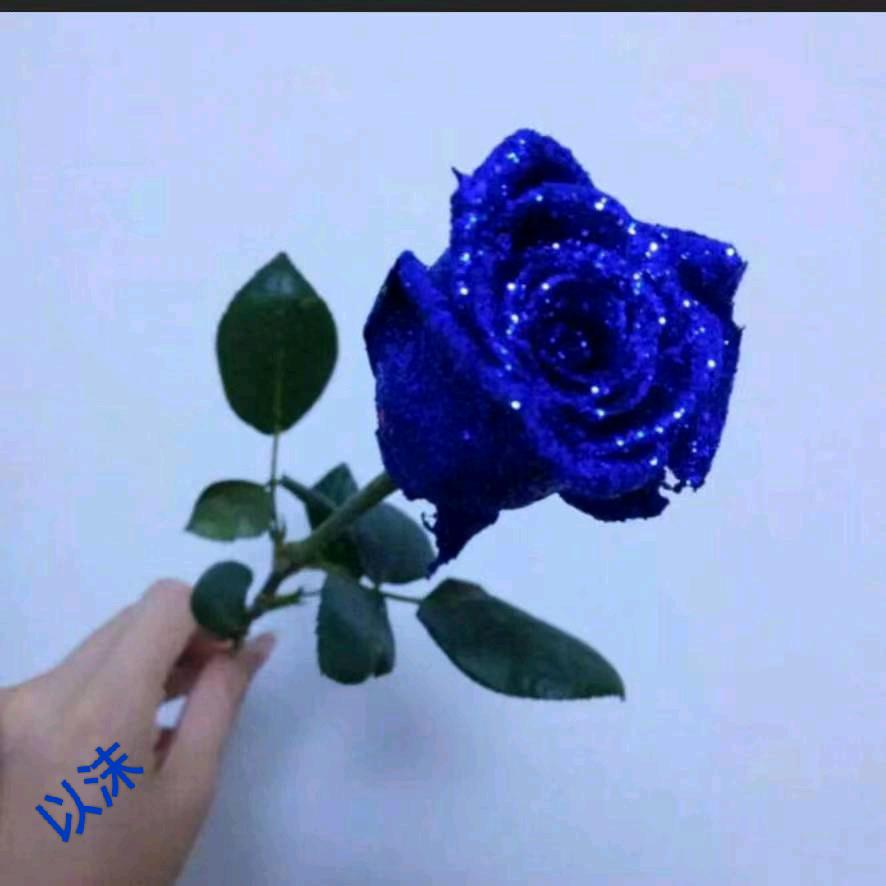 🔥相濡以沫🔥🌹