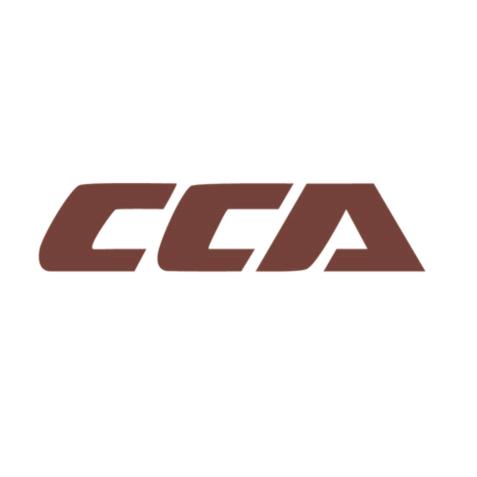 CCA耳机旗舰店