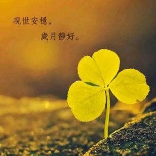 ᰔᩚ᭄钟情💞与你꧔ꦿᩚ࿐
