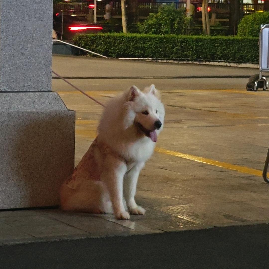 小百好物推介