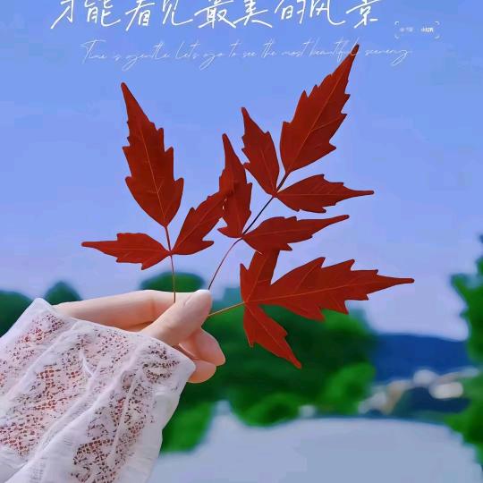 婉若
