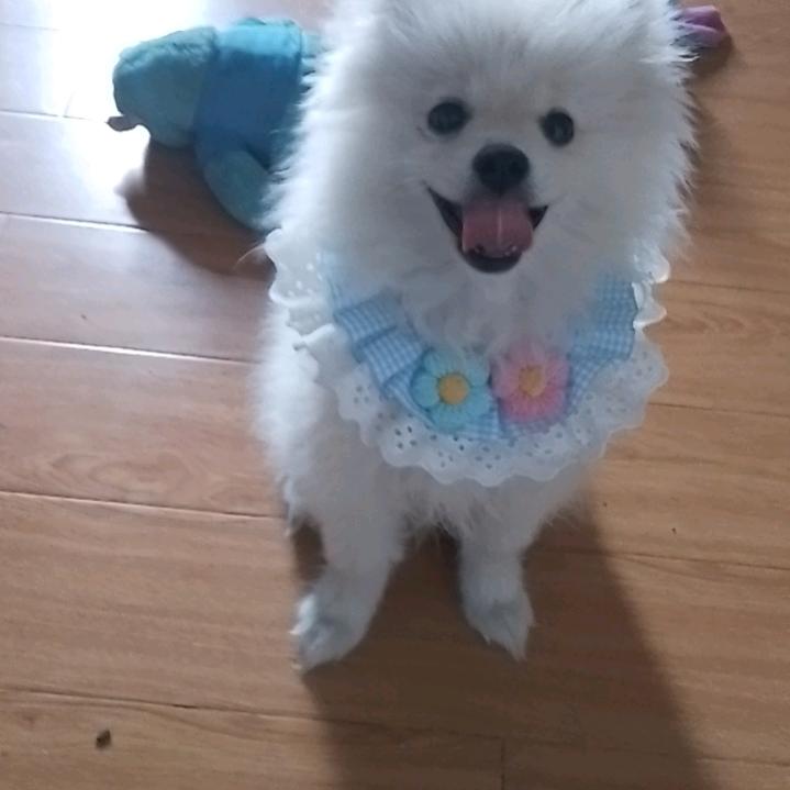 幸福一家