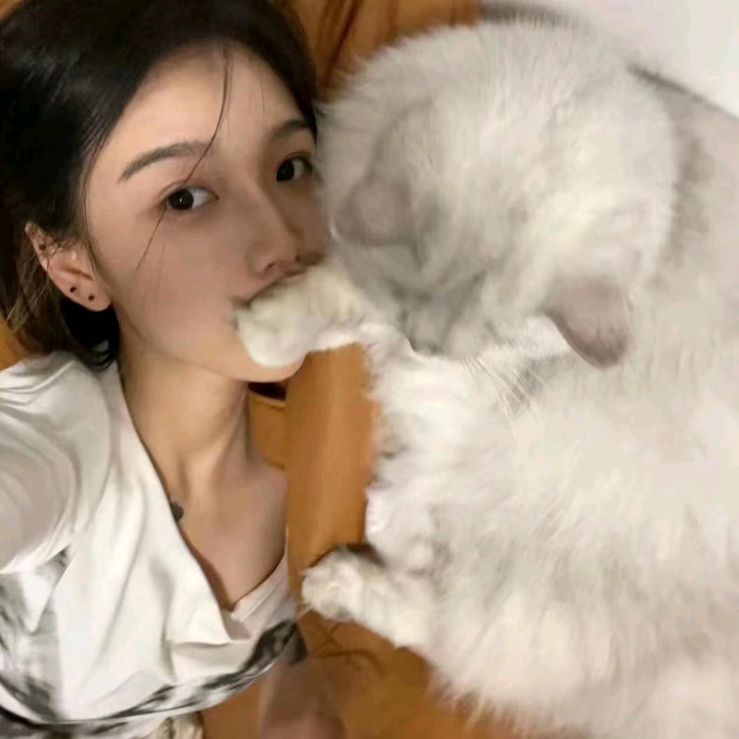-小美