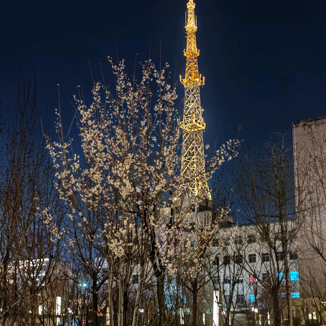 wonder晓晓（努力上进中）