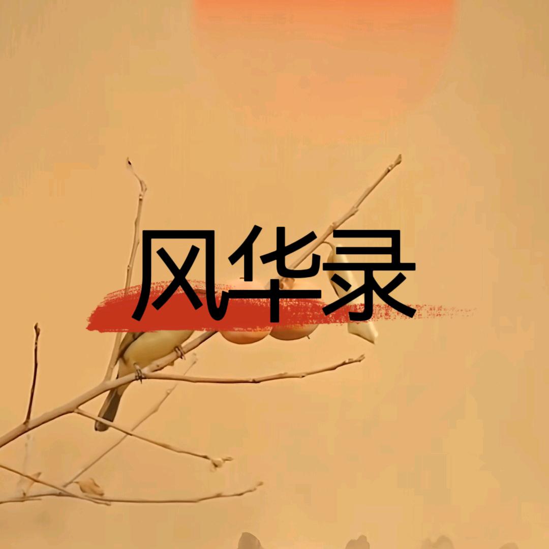 风华录