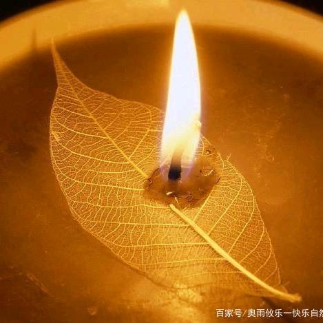 我有孤独和酒
