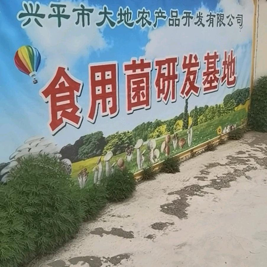 种地人