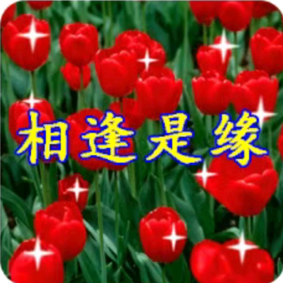 天天开心😄