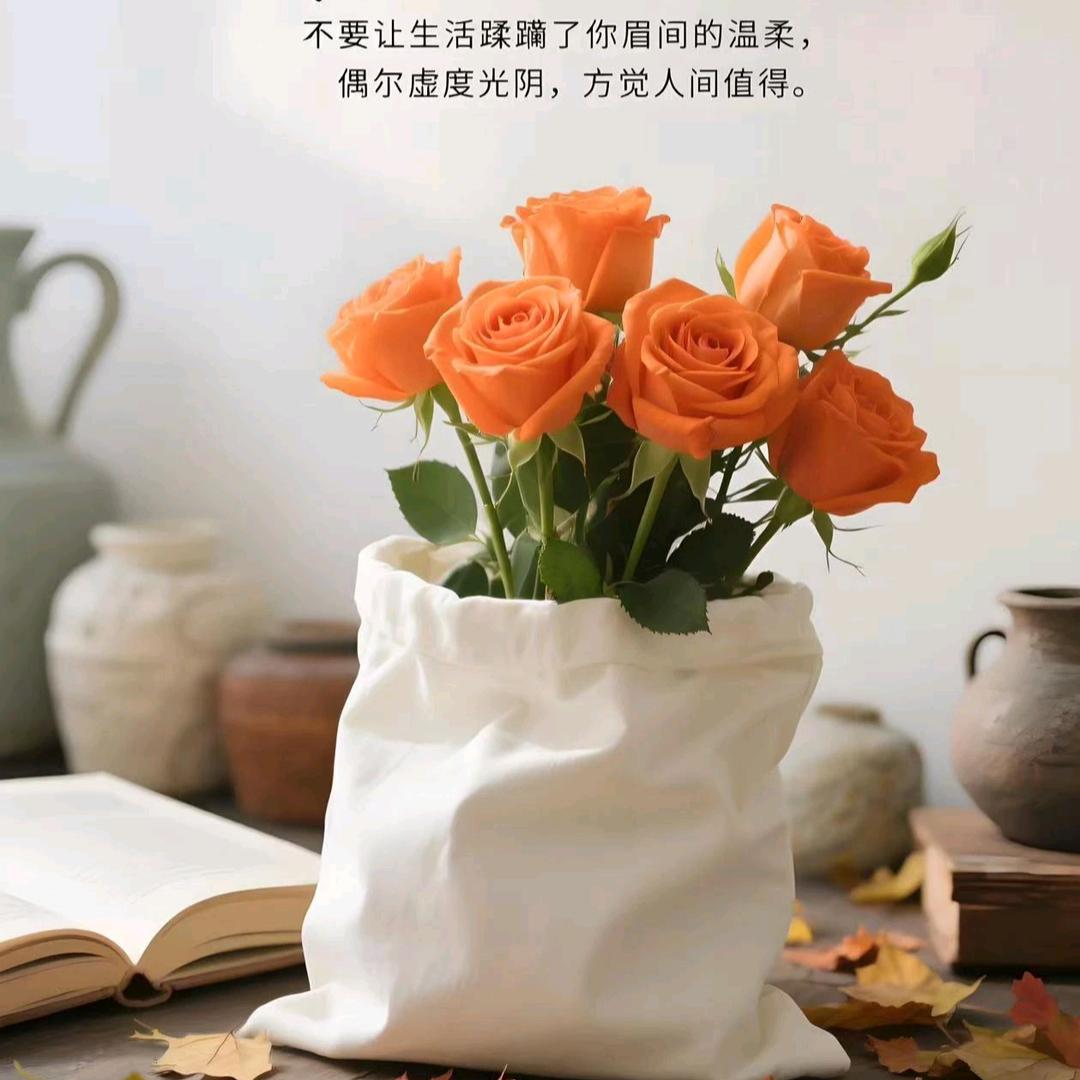 花伴余生🌹