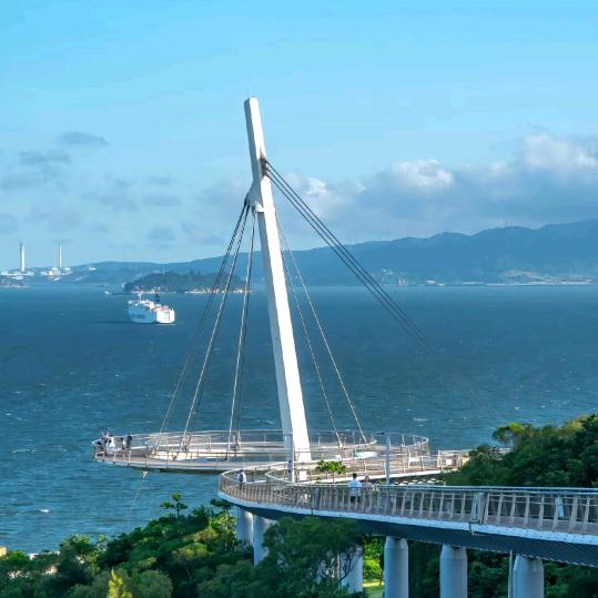何剧能入吾眼头像