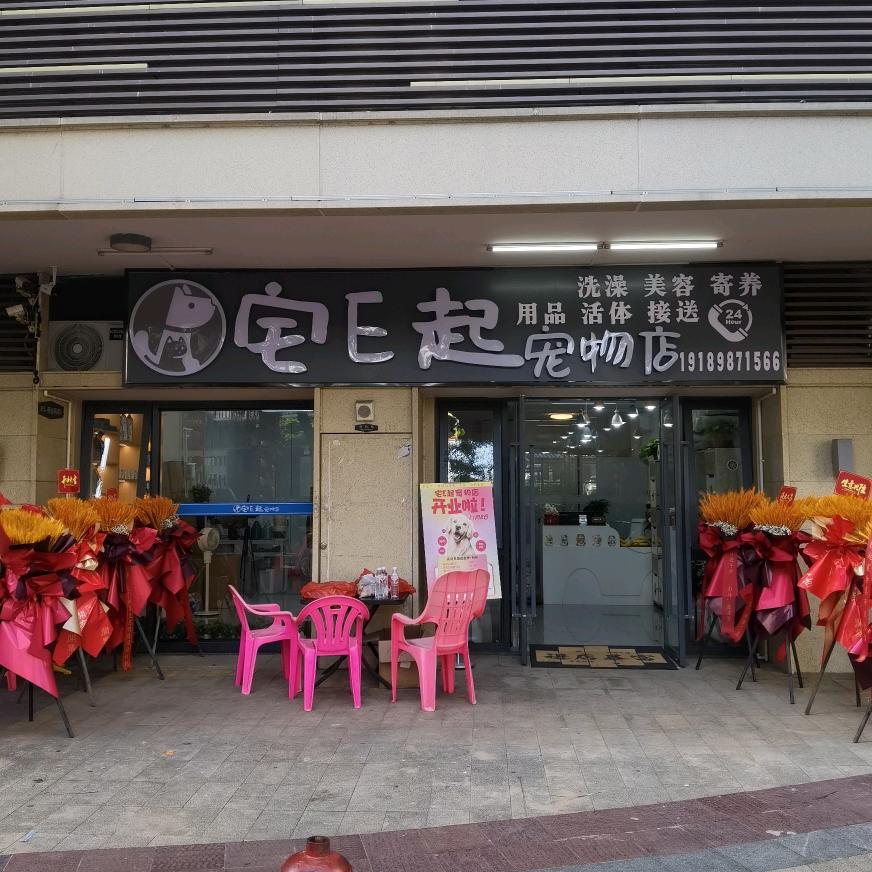 宅E起宠物