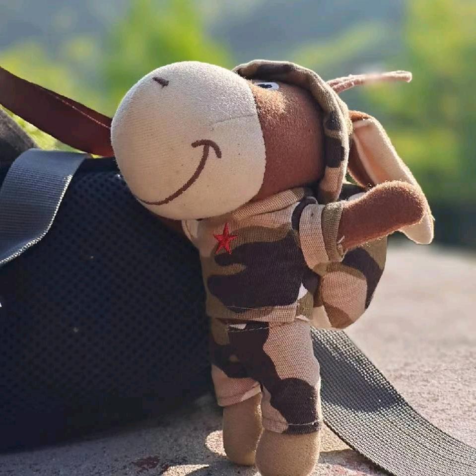 逆光之处有暖阳