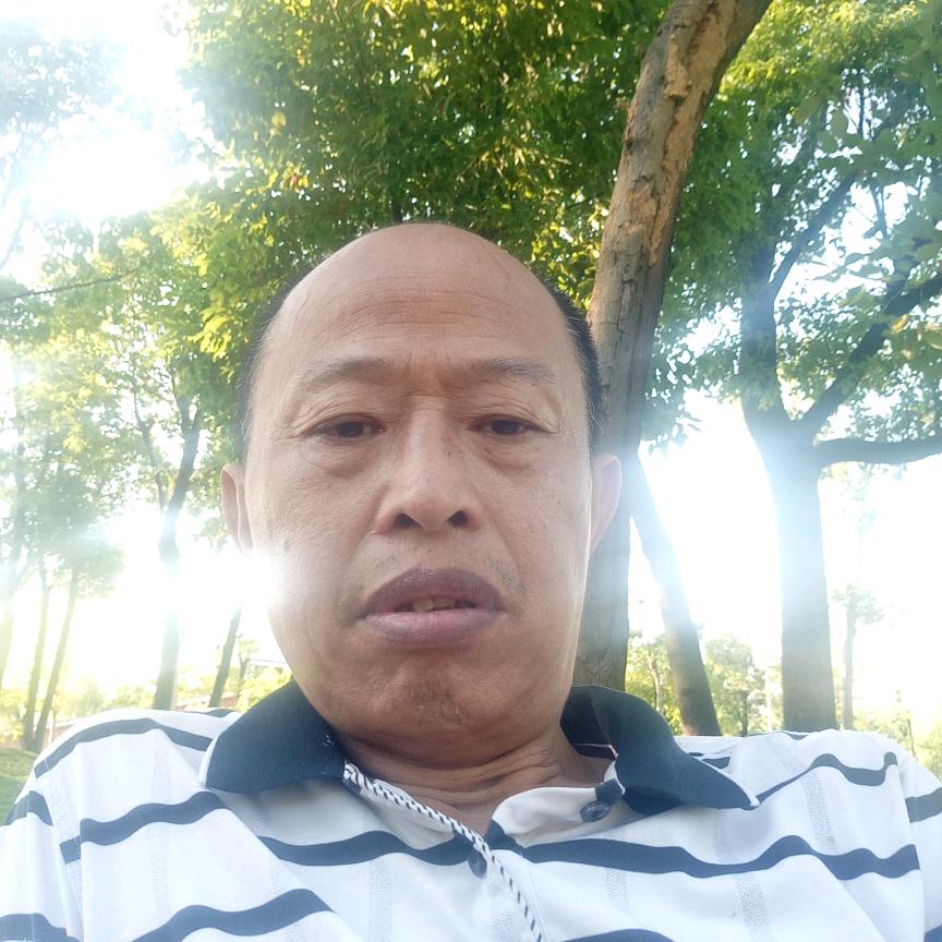 杨洋发