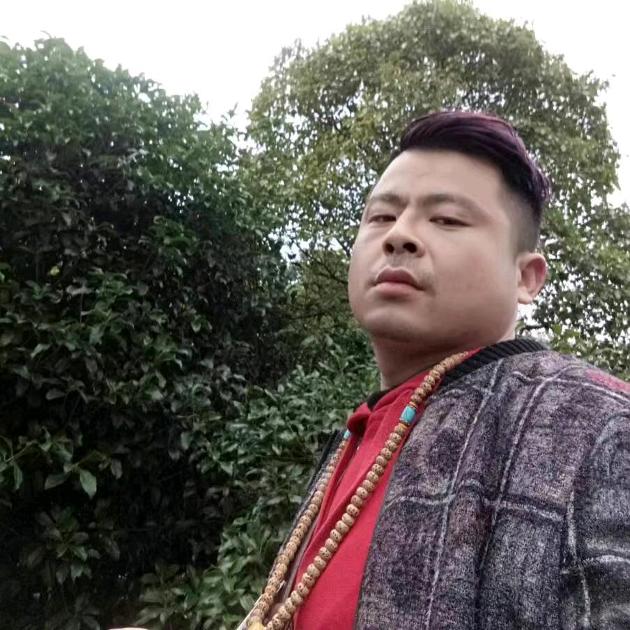 飞思鱼