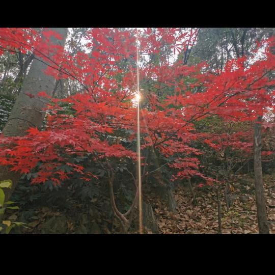 心事