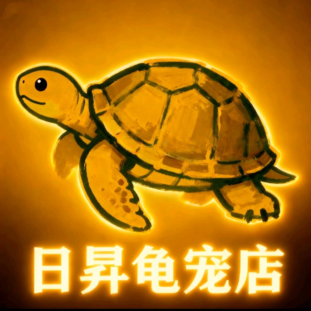 日昇龟宠店