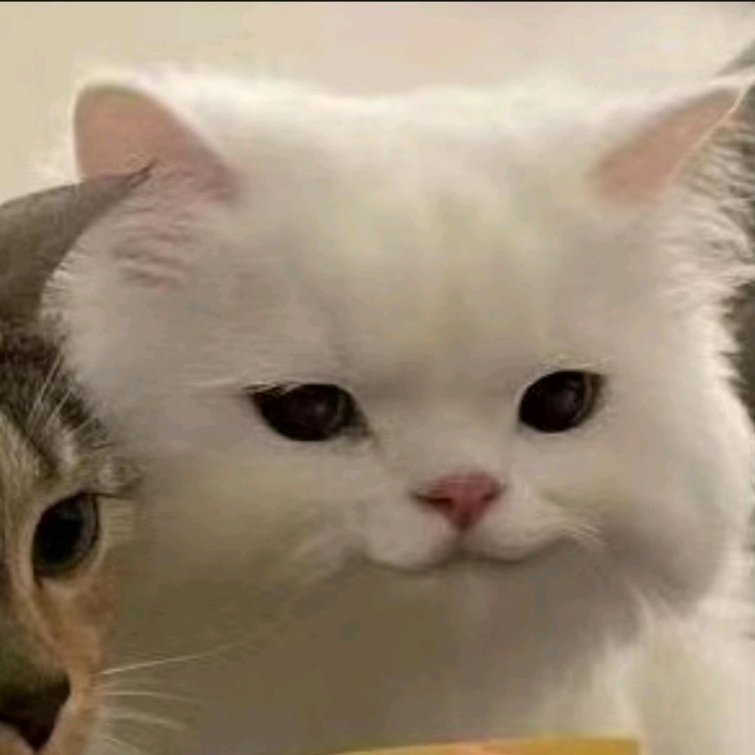 对方正在输入中