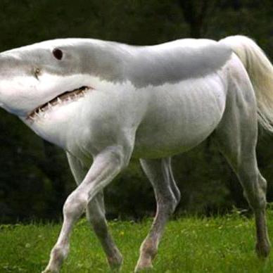 喝酒订台找我 梵（livehouse）