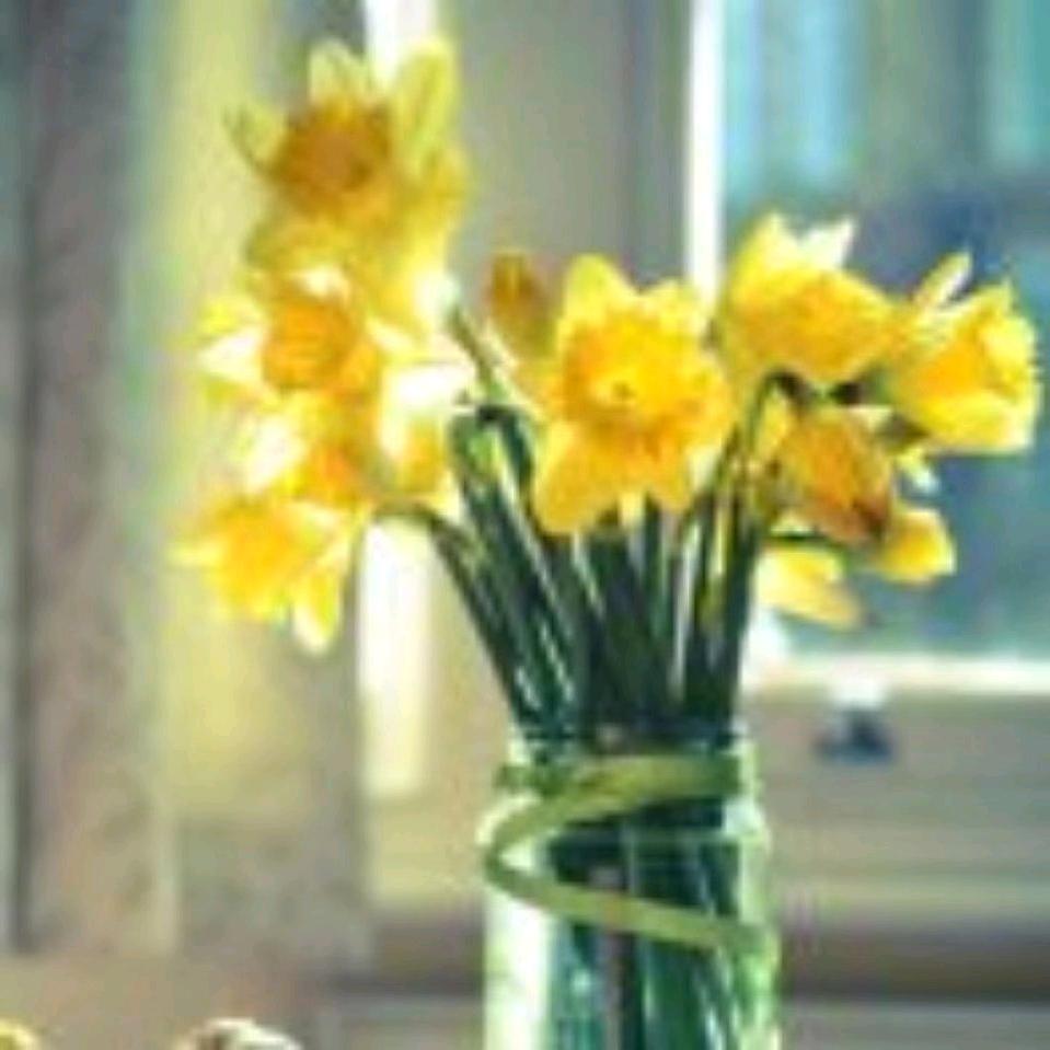 看淡一切，善待自己