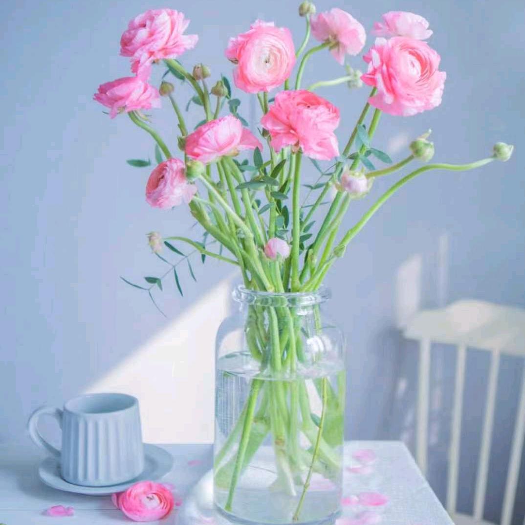 小荷聊国学情感