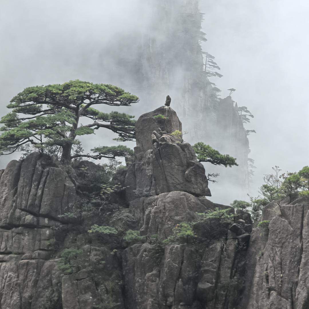 我姓李 桃李满天下的李
