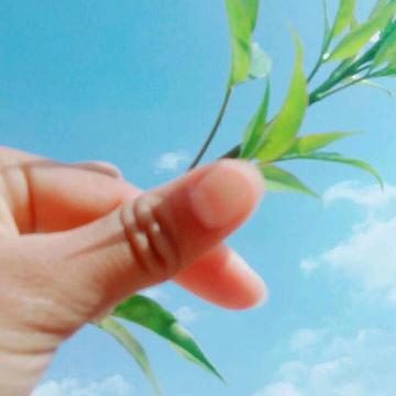 谁是谁的主角LFY