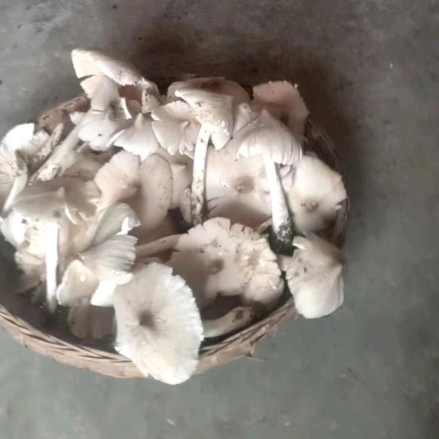 恨你