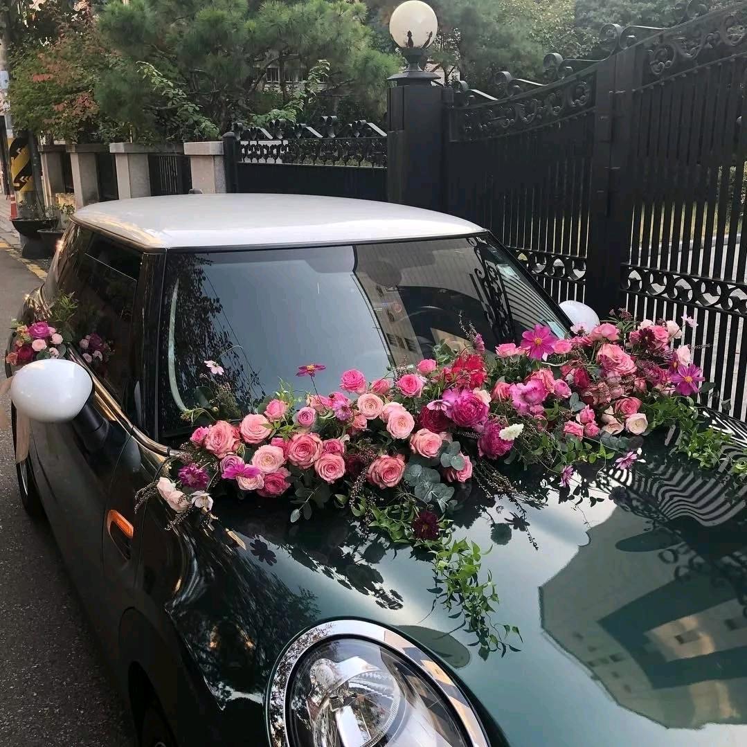 小熊采蘑菇