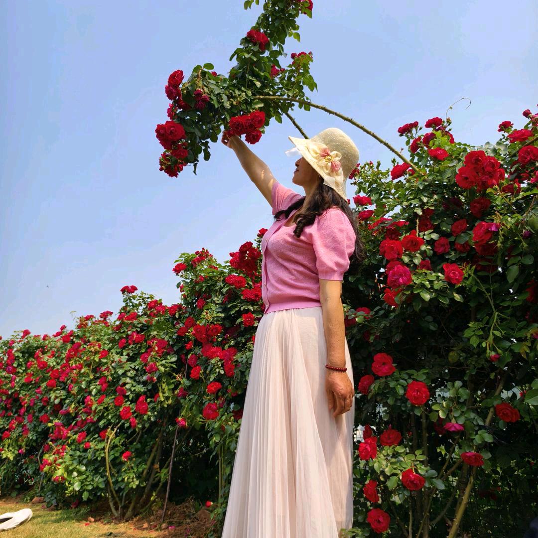 迷妹的外婆