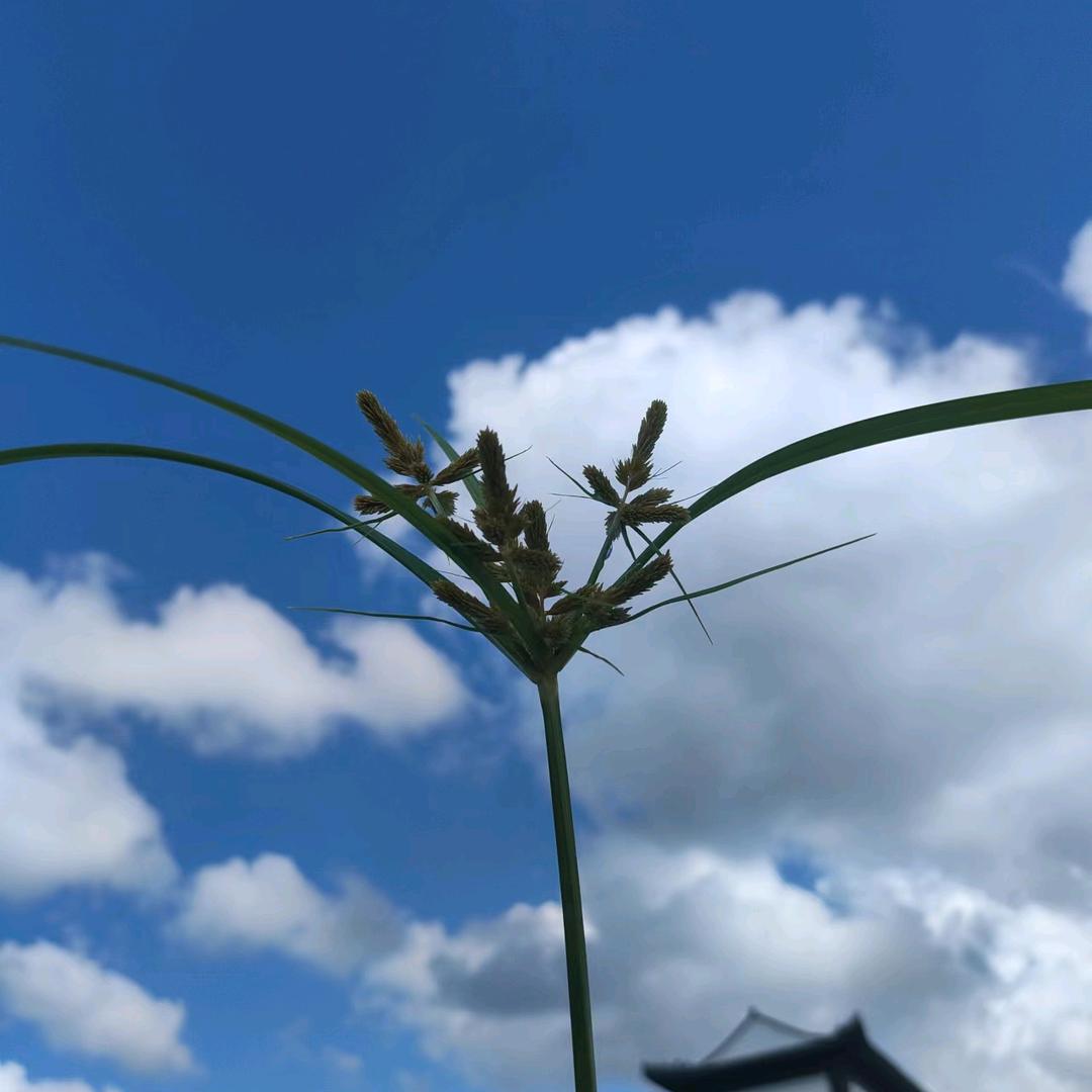春_22030345