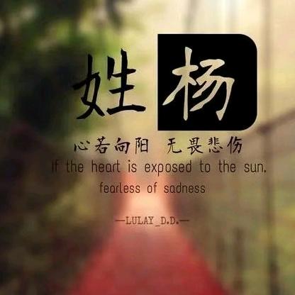 阿杨手游三角洲手游